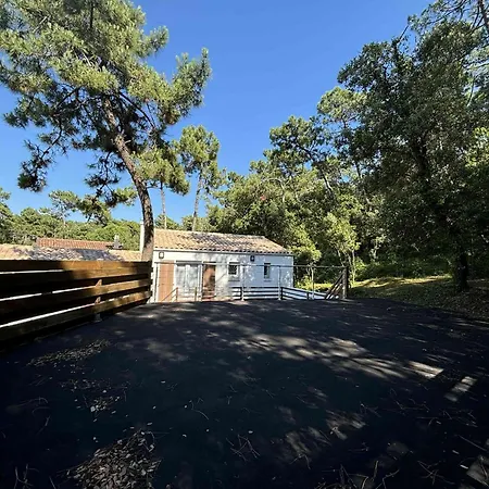 Maison Moderne Pres De La Mer, Au Coeur D'une Foret, 6 Couchages, Proche De Plages Et Commerces - Fr-1-246a-133 Дом отдыха